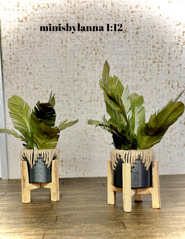 1:12 Dollhouse miniature tropical foliage pot with wooden stand - PAIR